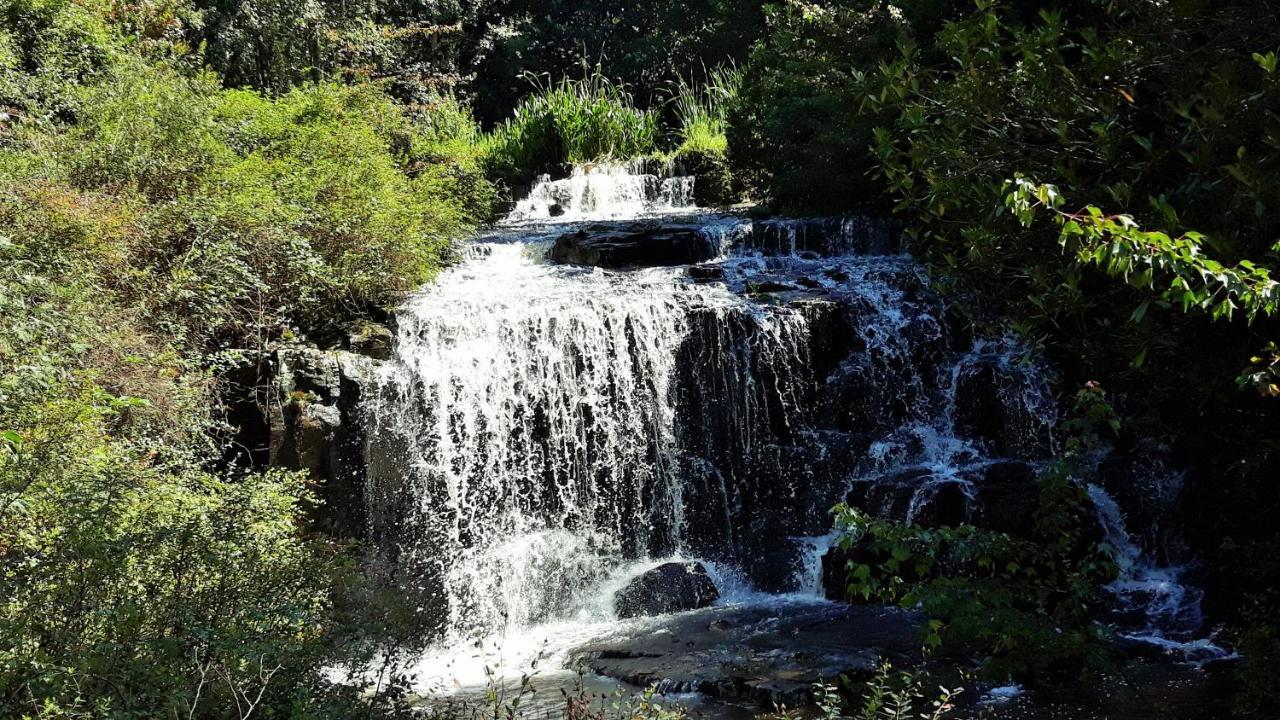 Kings Lodge Hotel Hogsback Esterno foto