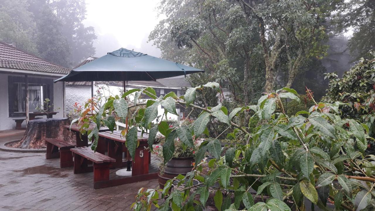 Kings Lodge Hotel Hogsback Esterno foto