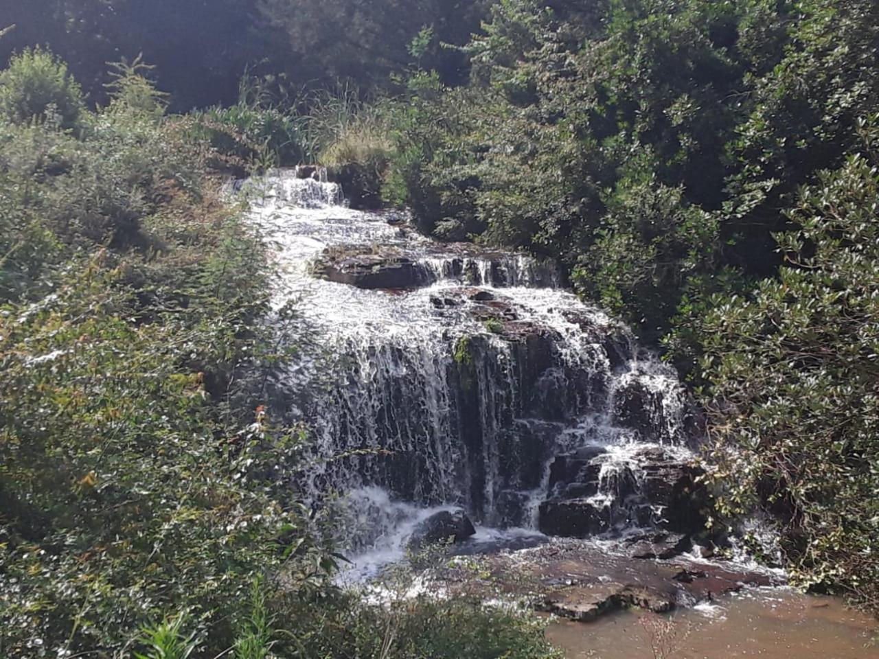 Kings Lodge Hotel Hogsback Esterno foto