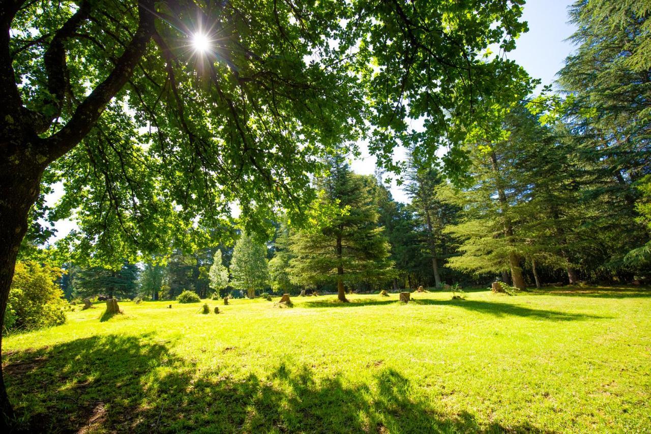 Kings Lodge Hotel Hogsback Esterno foto