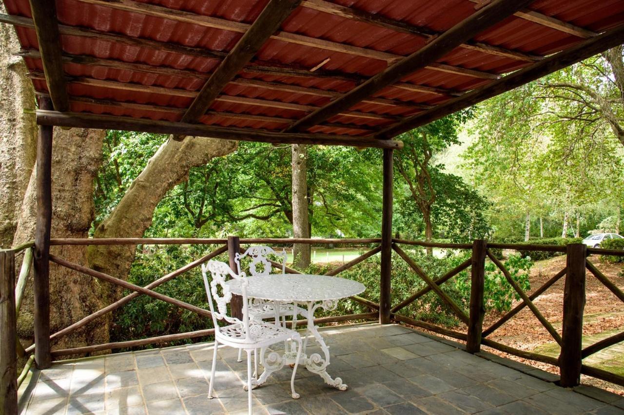 Kings Lodge Hotel Hogsback Esterno foto
