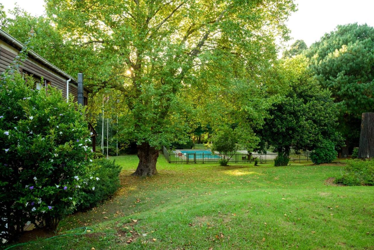 Kings Lodge Hotel Hogsback Esterno foto